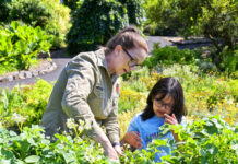 Gardens spaces open for activation