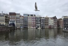 Forty-eight hours in Amsterdam
