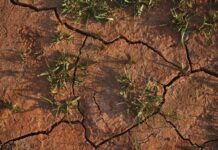 Making drought a priority