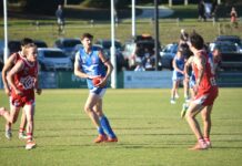 Just the tonic the Heads needed