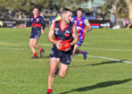 footy_484071_01