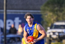 Jubilant Seagulls in emotional win