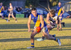 footy_485240_29