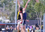 gflfooty_480202_03