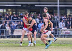 gflfooty_480202_16