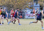 gflfooty_480202_20