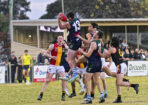 gflfooty_480202_28