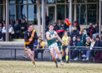 gflfooty_482814_02