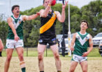 gflfooty_482814_06