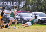 gflfooty_482814_16