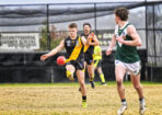 gflfooty_482814_23