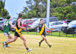 gflfooty_482814_27