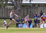 gflfooty_486859_06