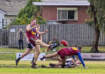 gflfooty_486859_24