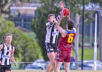 gflfooty_486859_26