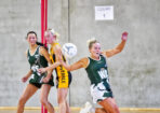 gnlnetball_482816_03