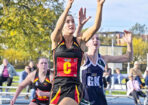 netball_480200_15