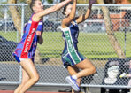 netball_485238_03