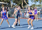 netball_485238_05