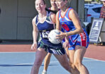 netball_485238_08