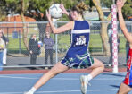 netball_485238_18