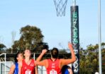 ognetball_485655_03