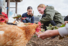 Water savers rewarded