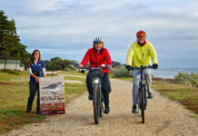 Ready, set and birdwatch