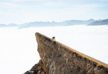Bikes on the silver screen