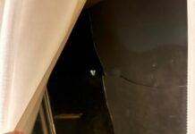 Evening terror in Grovedale