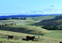 Healthy, Wealthy and Wise