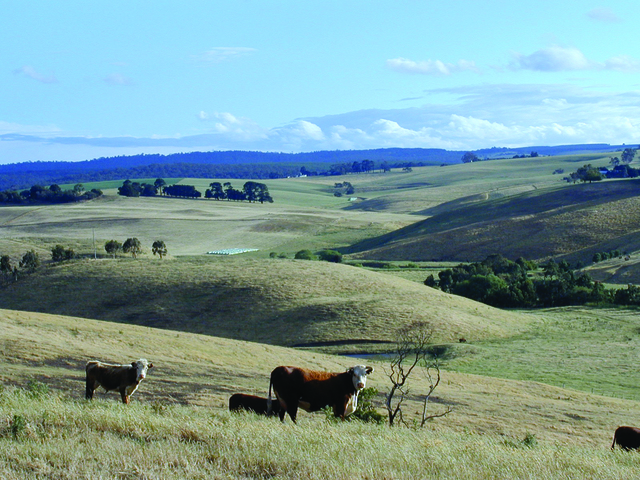 Rural_487739_01
