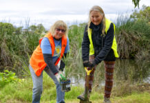 Growing environments on Tree Day