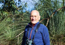 Wild Walkabout in nature