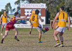bflfooty_488073_19