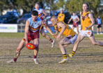 bflfooty_488073_25