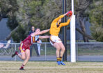 bflfooty_488073_32