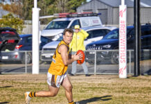 Hawks go into break in 3rd spot