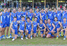 Seagulls overrun Grubbers