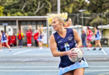 Grubbers beat plucky Heads