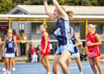 bnlnetball_490550_02