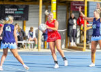bnlnetball_490550_11