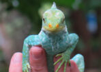 fiji_483927_05