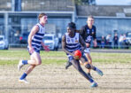 footy_489439_04