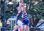 footy_489439_07