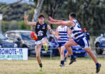 footy_489439_09
