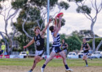 footy_489439_21