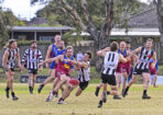 gflfooty_486859_25