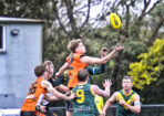 gflfooty_491784_17-1