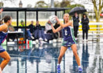gnlnetball_491783_05